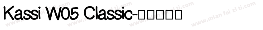 Kassi W05 Classic字体转换
